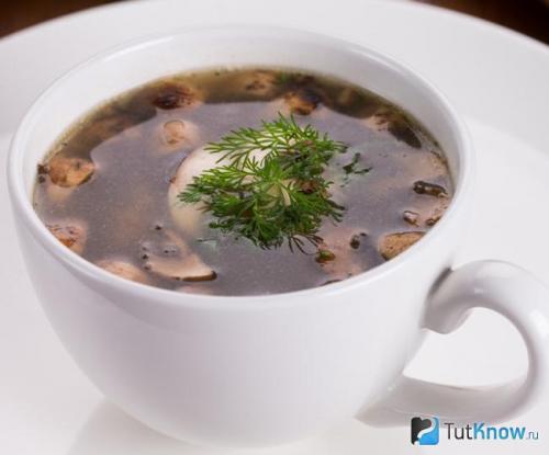 Как отличить белый гриб от польского. Рецепты блюд с польским грибом