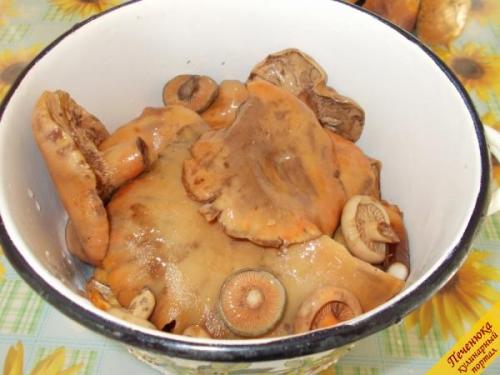 Грибы рыжики способ приготовления. Блюда с рыжиками 17