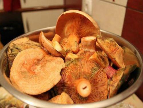Рыжики маринованные. Как приготовить рыжики на зиму — подготовка: