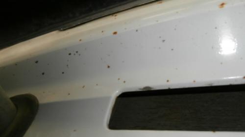 Как обработать рыжики. Однозначная победа над рыжиками, «Белый жемчуг»