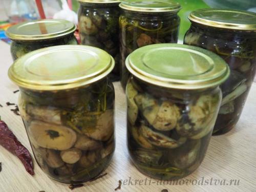 Маринованные подосиновики без стерилизации. Маринованные подосиновики на зиму — простой рецепт приготовления горячим способом с уксусом