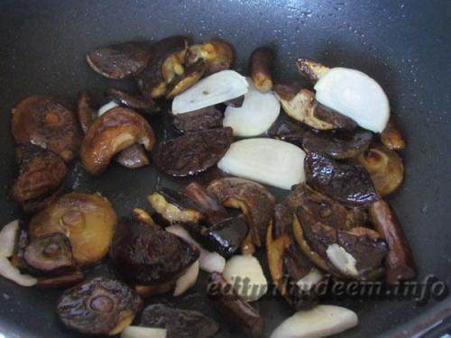 Польский гриб рецепты приготовления. Как жарить польские грибы