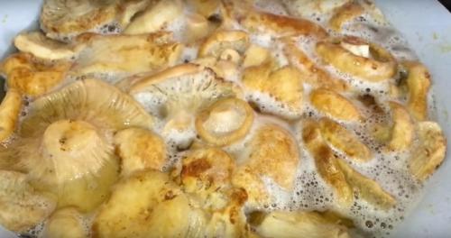 Как солить грибы в домашних условиях. Соление грибов в домашних условиях на зиму в банках