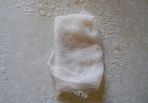 Посадка гарбуза. Выбор и подготовка семян