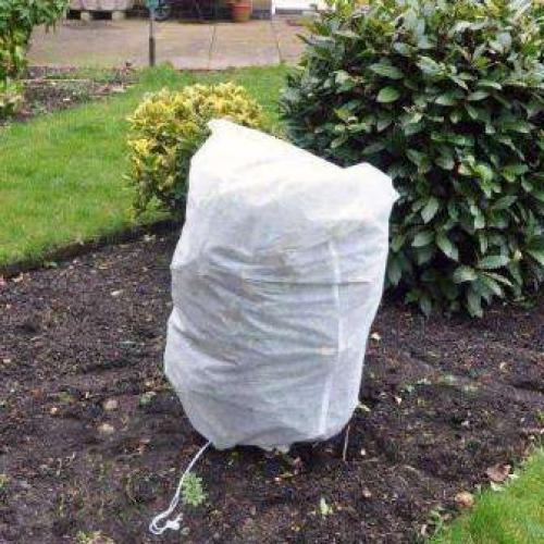 Когда нужно укрывать розы на зиму. Укрытие роз на зиму: Оптимальные сроки 04