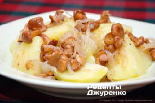 Как правильно готовить рыжики. Как готовить грибы рыжики - самые лучшие идеи приготовления лесных грибов 09