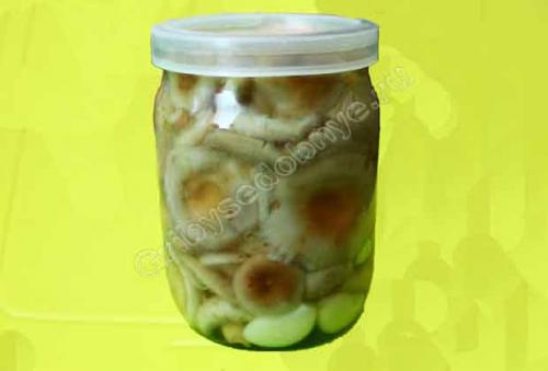 Солить грибы волнушки холодным способом. Как солить волнушки на зиму в банках 06