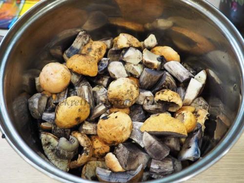 Маринованные подосиновики простой рецепт. Маринованные подосиновики на зиму — простой рецепт приготовления горячим способом с уксусом