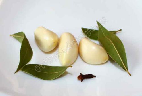 Солить грибы волнушки холодным способом. Как солить волнушки на зиму в банках 05