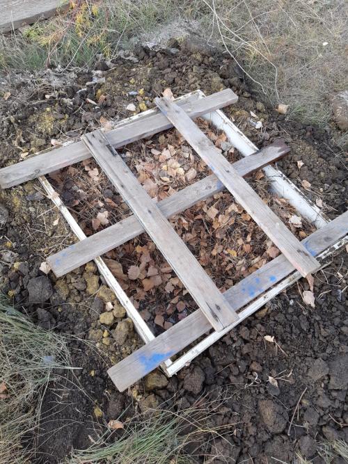 Как укрыть черенки роз на зиму. Укрытие череночника