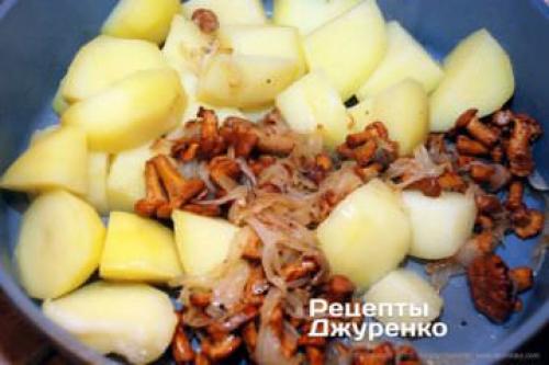 Как правильно готовить рыжики. Как готовить грибы рыжики - самые лучшие идеи приготовления лесных грибов 08