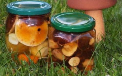 Простой маринад для грибов. Маринад для любых грибов