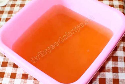 Солить грибы волнушки холодным способом. Как солить волнушки на зиму в банках 04