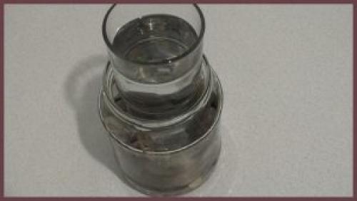 Как засолить рядовки грибы. Способы засолки рядовок на зиму 33