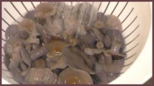 Как засолить рядовки грибы. Способы засолки рядовок на зиму 31