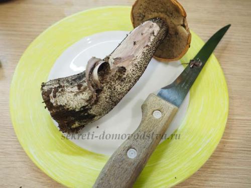 Маринованные подосиновики простой рецепт. Маринованные подосиновики на зиму — простой рецепт приготовления горячим способом с уксусом