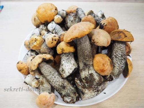 Маринованные подосиновики простой рецепт. Маринованные подосиновики на зиму — простой рецепт приготовления горячим способом с уксусом