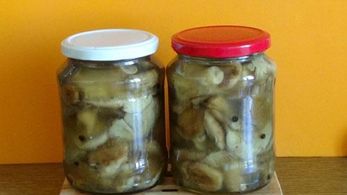Как засолить грибы на зиму. Как засолить вкусно грибы волнушки на зиму в банках – простой рецепт с фото