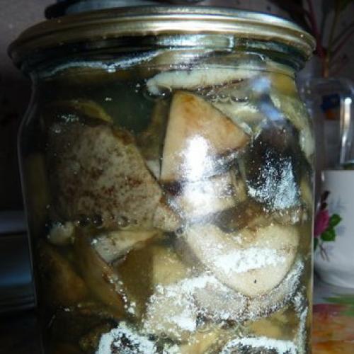 Соленые грибы покрылись плесенью. Как правильно хранить грузди после засолки