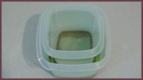 Как засолить рядовки грибы. Способы засолки рядовок на зиму 34