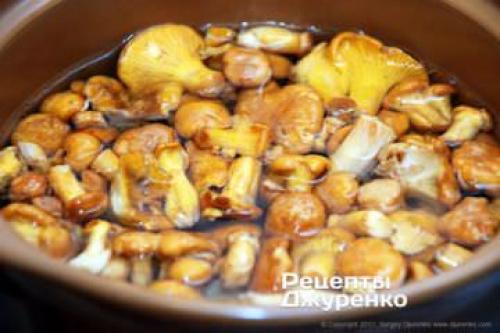 Как правильно готовить рыжики. Как готовить грибы рыжики - самые лучшие идеи приготовления лесных грибов 03