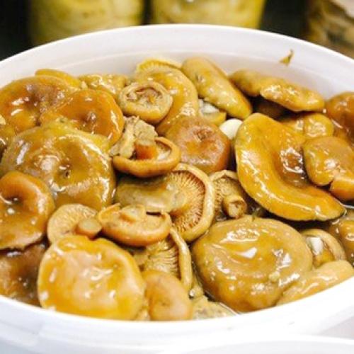 Какие рыжики вкуснее соленые или маринованные. Хрустящие рыжики: рецепты засолки и маринования грибов