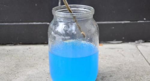 Когда опрыскивать деревья осенью мочевиной. Как опрыскивать деревья осенью? 04