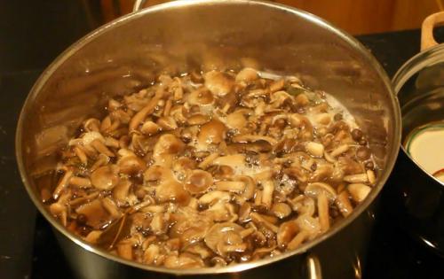 Сколько варить грибы опята. Процедура отваривания опят 09