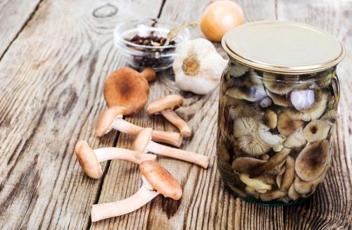 Сколько варить грибы опята. Процедура отваривания опят 03