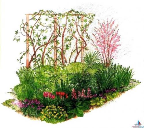 Как сделать клумбу цветущую от весны до осени. Клумбы, цветущие с ранней весны до поздней осени в закладки 91