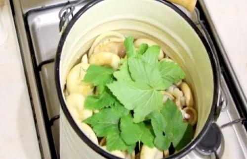 Как переделать соленые грузди. Как солить грузди на зиму, чтобы были хрустящими ароматными и вкусными