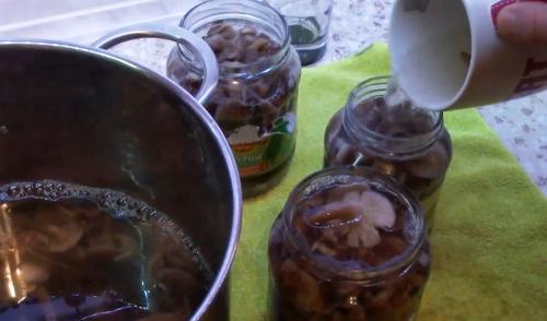 Сколько варить грибы опята. Процедура отваривания опят 11