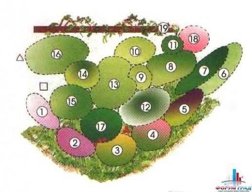 Как сделать клумбу цветущую от весны до осени. Клумбы, цветущие с ранней весны до поздней осени в закладки 91