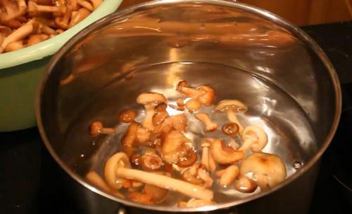 Сколько варить грибы опята. Процедура отваривания опят 05