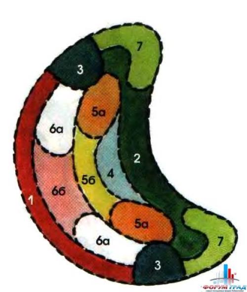 Как сделать клумбу цветущую от весны до осени. Клумбы, цветущие с ранней весны до поздней осени в закладки 91