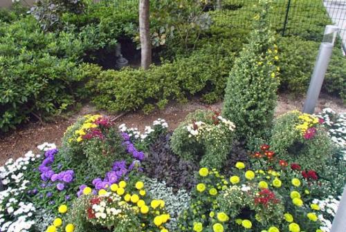 Как сделать клумбу цветущую от весны до осени. Клумбы, цветущие с ранней весны до поздней осени в закладки 91 37 Как сделать клумбу цветущую от весны до осени. Клумбы, цветущие с ранней весны до поздней осени в закладки 91 37