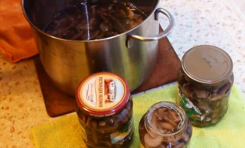 Сколько варить грибы опята. Процедура отваривания опят 12