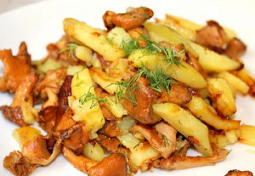 Как правильно приготовить рыжики грибы. Как совместить вкус и пользу 03