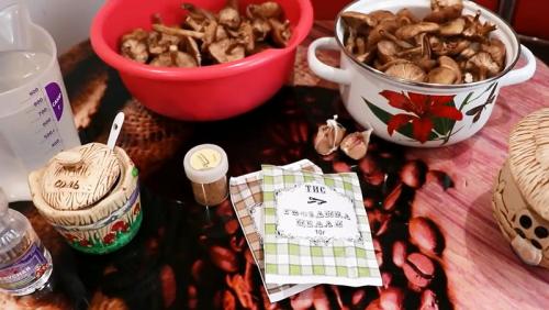 Сколько варить грибы опята. Процедура отваривания опят 15