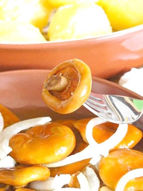 Какие рыжики вкуснее соленые или маринованные. Хрустящие рыжики: рецепты засолки и маринования грибов