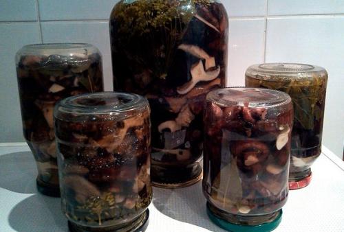 Как переделать соленые грузди. Как солить грузди на зиму, чтобы были хрустящими ароматными и вкусными