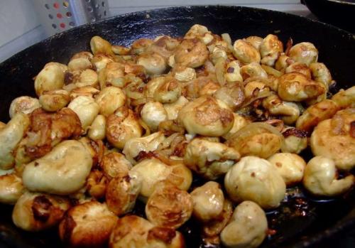 Гриб дождевик с картошкой. Дождевик жемчужный - вкусный гриб, лишённый внимания