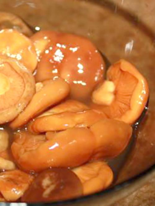 Как консервировать рыжики. Как консервировать солёные рыжики на зиму холодным способом (с видео)