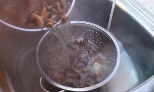 Сколько варить грибы опята. Процедура отваривания опят 07