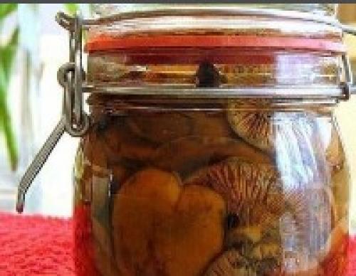 Засолка рыжиков горячим способом