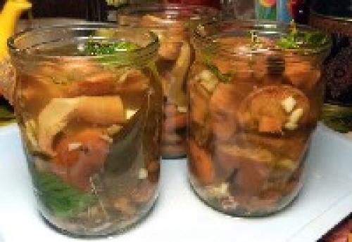 Засолка рыжиков горячим способом