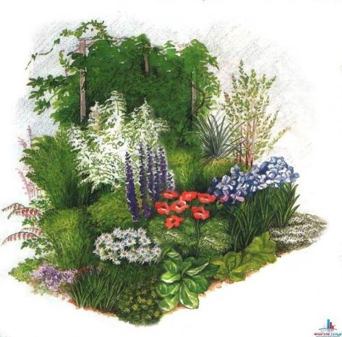 Как сделать клумбу цветущую от весны до осени. Клумбы, цветущие с ранней весны до поздней осени в закладки 91