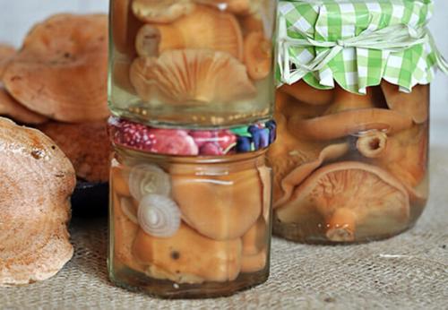 Маринованные рыжики с лимонной кислотой. Советы по маринованию рыжиков на зиму