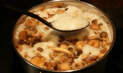 Сколько варить грибы опята. Процедура отваривания опят 06