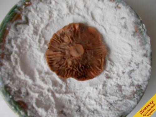 Как правильно приготовить рыжики грибы. Как совместить вкус и пользу 14